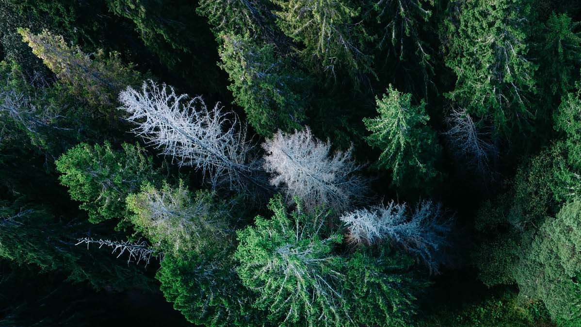 Photo by Geran de Klerk